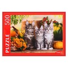 Пазл «Три непоседливых котёнка», 500 элементов - фото 25653786