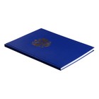 Книга учета, 96 листов, обложка бумвинил, блок ОФСЕТ, клетка, цвет синий, ГЕРБ (тиснение золотой фольгой) - фото 9817219
