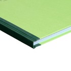 Книга учета, 96 листов, обложка картон 7Б, блок ОФСЕТ, клетка, цвет зеленый (имитация) - фото 9817224
