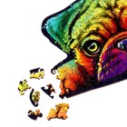 Деревянный пазл с двухслойной крышкой «Мопс» М - фото 24509263