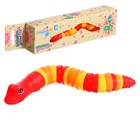 Игрушка «Гремушка. Змейка», 23 × 4 см, цвета МИКС - фото 10533897