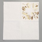 Посуда одноразовая бумажная для праздника «Природа», салфетки 20 шт., стаканы 6 шт., тарелки 6 шт. - фото 36442807