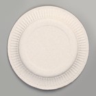Набор посуды «Сафари Party»: салфетки 20 шт., стаканы 6 шт., тарелки 6 шт. - фото 9883289