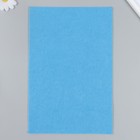 Фетр жесткий 2 мм 20х30 см, голубой МИКС (комплект 10 шт) - фото 28485592