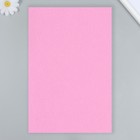 Фетр жесткий 2 мм 20х30 см, ярко-розовый (комплект 10 шт) - фото 28485596