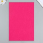 Фетр мягкий 1 мм 20х30 см, малиновый (комплект 10 шт) - фото 36666580