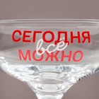 Бокал для мартини «Сегодня все можно», 270 мл - Фото 3