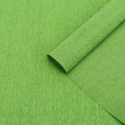 Бумага гофрированная 377 светло-зеленая, 90г, 50 см х 1, 5 м - фото 10535657