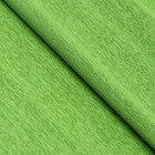 Бумага гофрированная 377 светло-зеленая, 90г, 50 см х 1, 5 м - фото 6933409