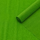 Бумага гофрированная 396 зеленая,90 гр,50 см х 1,5 м - фото 10535660