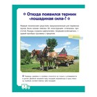 Энциклопедия обо всем на свете. Грузовики. Ликсо В.В., Мерников А.Г. 9690460 - фото 5187048
