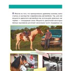 Энциклопедия обо всем на свете. Грузовики. Ликсо В.В., Мерников А.Г. 9690460 - фото 5187049