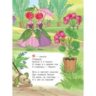 Книга детская «Малыш, читай! Песенка синьора Помидора», 8 стр., Маршак С.Я. - Фото 2