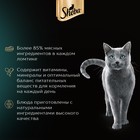 Влажный корм Sheba для кошек, курица и кролик ломтики, пауч, 75 г (комплект 28 шт) - фото 25275221
