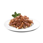 Влажный корм Sheba для кошек, утка, пауч, 75 г - Фото 9