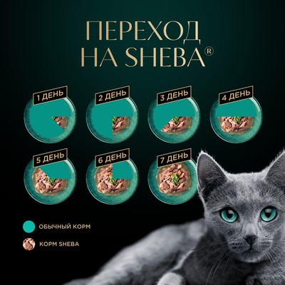 Влажный корм Sheba для кошек, ломтики в соусе говядина, пауч, 75 г