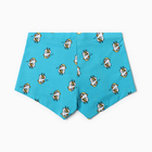 Трусы мужские боксеры «Гуси», цвет голубой, размер 52 (XL) - фото 23939990