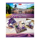 Тетрадь 96 листов в клетку "Лавандовые сны", картонная обложка, 5 видов, МИКС (комплект 6 шт) - фото 22996408