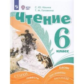 Чтение. 6 класс. Учебник. Для обучения с интеллектуальными нарушениями. Ильина С.Ю., Головкина Т.М.