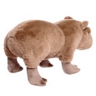 Мягкая игрушка «Капибара», 35 см - фото 22261459