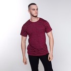 Футболка мужская в полоску, цвет бордовый, размер 50 - фото 22262246