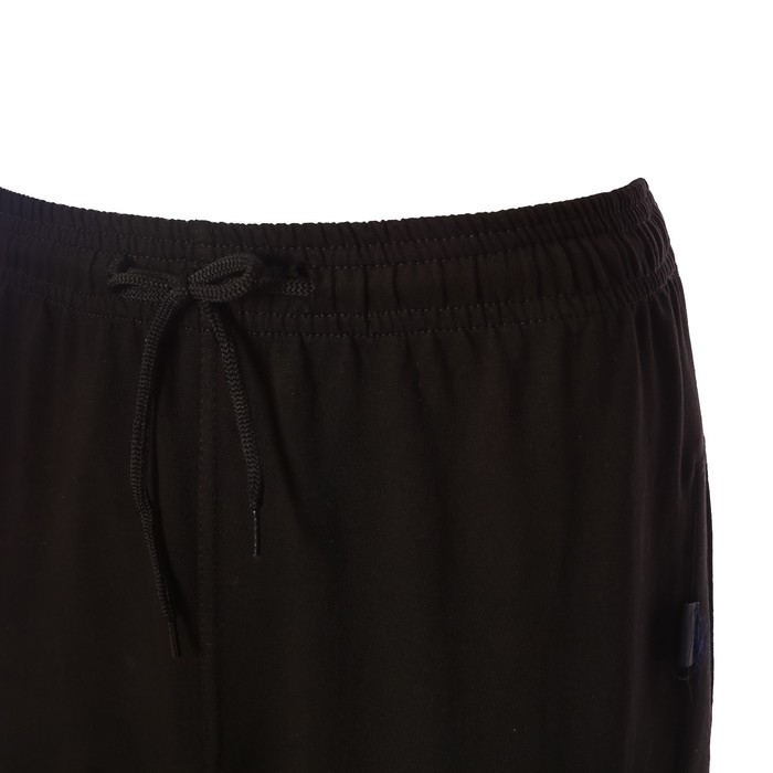 Брюки мужские, цвет чёрный, размер 52 63307