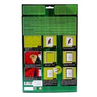 Набор для творчества «Художественная вышивка гладью. Попугай» с рамкой - фото 24200376