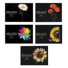 Альбом для рисования А4, 32 листа, "Бал цветов", обложка мелованный картон, матовая ламинация, 3D фольга, блок 100 г/м2, МИКС - фото 24834742