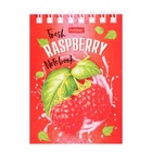 Блокнот Hatber «Сладкое настроение», А7, 40 листов, на гребне, обложка из мелованного картона, блок офсет - Фото 4