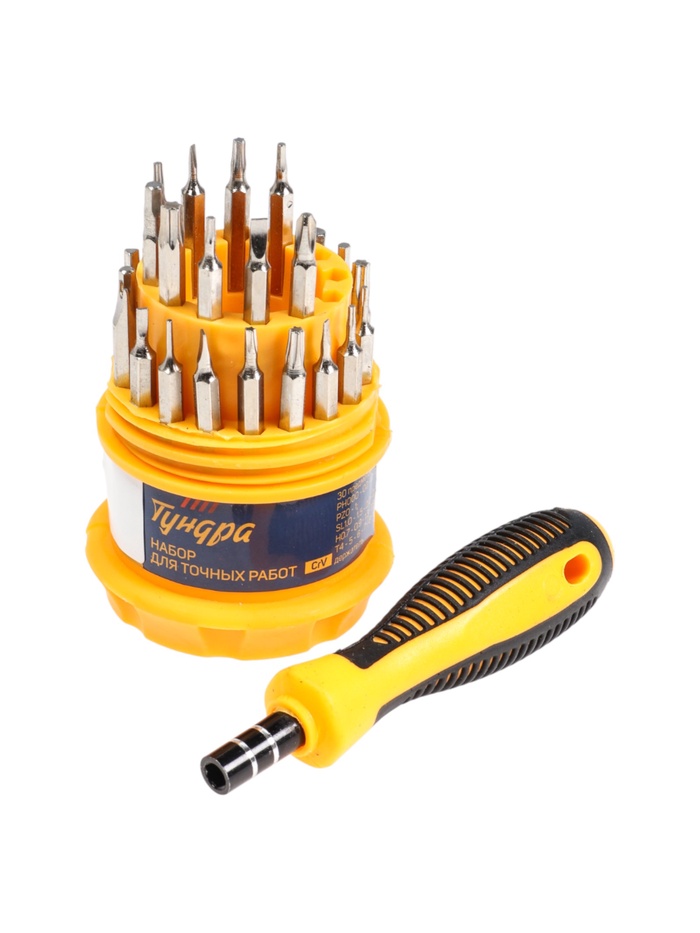 Набор для точных работ ТУНДРА, CrV, держатель с битами, в кейсе, 31 предмет - Фото 1