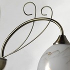 Светильник «Ариадна», размер 60x71x60 см, E27 - Фото 6