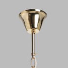 Светильник «Аделард», размер 50x96x50 см, E14 - Фото 12