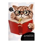 Читательский дневник 48 листов "Учёный кот", обложка мелованный картон - фото 7377960