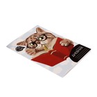 Читательский дневник 48 листов "Учёный кот", обложка мелованный картон - Фото 2