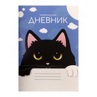 Читательский дневник 48 листов "Чёрный кот", обложка мелованный картон - Фото 1