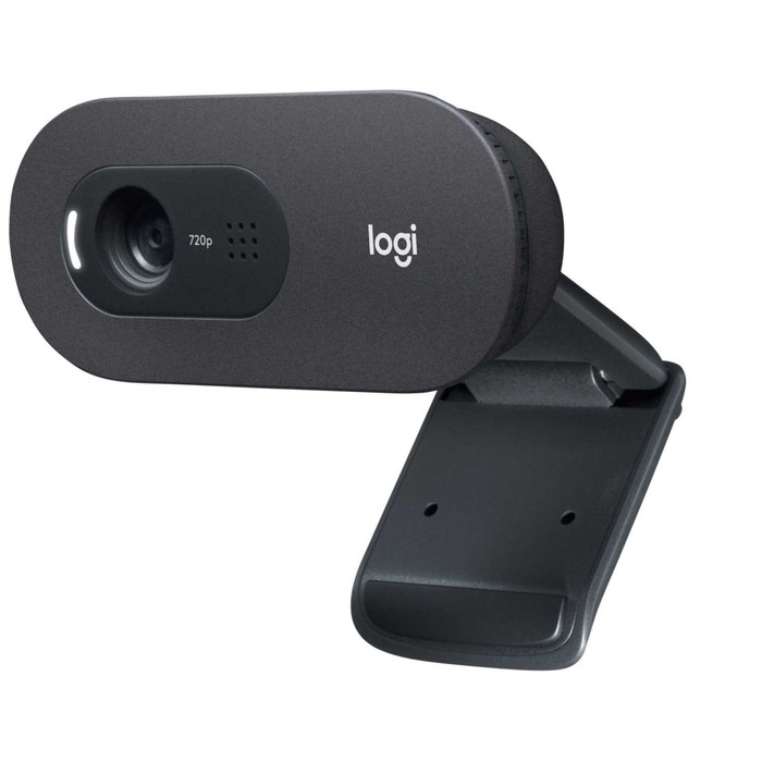 Веб-камера Logitech C505 HD