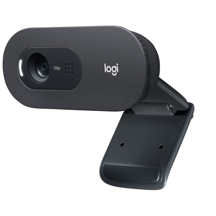 Веб-камера Logitech C505e