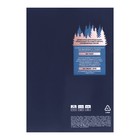 Бумага А4 500л PROJECTA SPECIAL, 80г/м2, белизна 162% CIE, класс В - фото 51314724 Бумага А4 500л PROJECTA SPECIAL, 80г/м2, белизна 162% CIE, класс В - фото 51314724