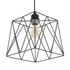 Светильник BayerLux "Сеть" 1х40Вт Е27 черный 22х22х21см - фото 22726663