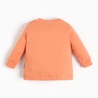 Лонгслив детский (2шт) , цвет оранжевый, рост 68 см - Фото 4