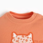 Лонгслив детский (2шт) , цвет оранжевый, рост 74 см - фото 22264018