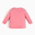 Лонгслив детский (2шт), цвет пудра, рост 74 см - фото 22264079