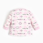 Лонгслив детский (2 шт), цвет розовый, рост 74 см - фото 22264131