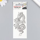 Татуировка на тело "Дракон" 5,6х12 см - фото 319512518