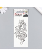 Переводные тату на тело «Дракон», 5.6×12 см - фото 42890358