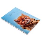 Записная книга А5, 40 листов на гребне в клетку " Котёнок", обложка мелованный картон, ВД лак, блок офсет - фото 25750342