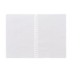 Записная книга А5, 40 листов на гребне в клетку " Котёнок", обложка мелованный картон, ВД лак, блок офсет - фото 25750344