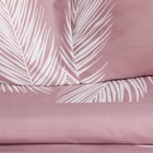 Постельное бельё Экономь и Я евро "Пёрышки" 200х215см,200х215см,70х70см-2 шт, полисатин, 80 г/м² - фото 25305395