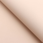 Пленка для цветов тонированная, матовая, пудровый, 0.5×10 м, 65 мкм - Фото 3