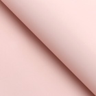 Пленка для цветов тонированная, матовая, пудровый, 0.5×10 м, 65 мкм - Фото 4